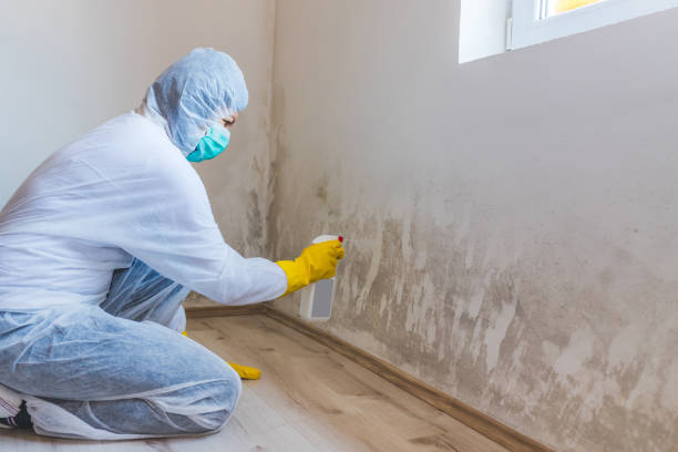 Licensed Mold Inspection service in Clarksboro, NJ - WQB Mold Removal