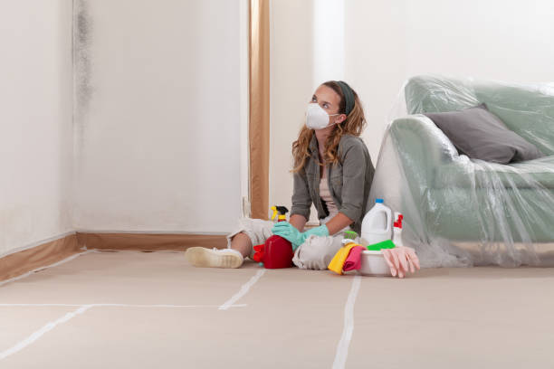Reliable Mold Inspection contractor in Clarksboro, NJ by WQB Mold Removal